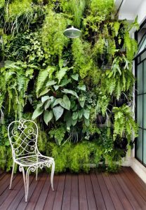 parede verde quintal pequeno